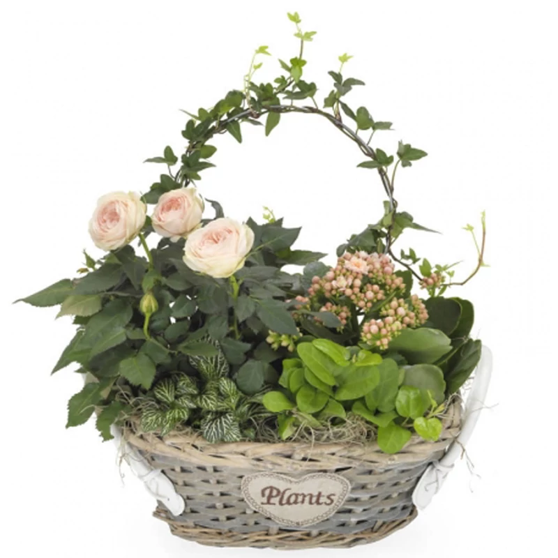 Cserepes virágküldés